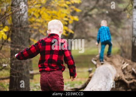 Dorsi di fratelli maschi gemellati che arrampicano e bilanciano su vecchi tronchi di legno e radici nella foresta d'autunno, tempo libero attivo, avventure d'infanzia Foto Stock