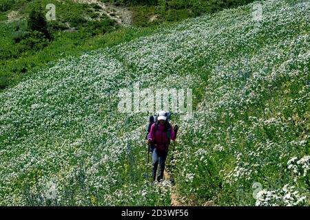 Circondato da cerotti bianchi sul Teton Crest Trail, Grand Teton National Park, Wyoming Foto Stock