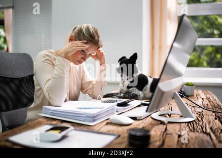 Donna contabile stressata con mal di testa in ufficio Foto Stock
