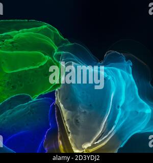 Sfondo di inchiostro con alcol. Estratto dell'inchiostro alcolico Foto Stock