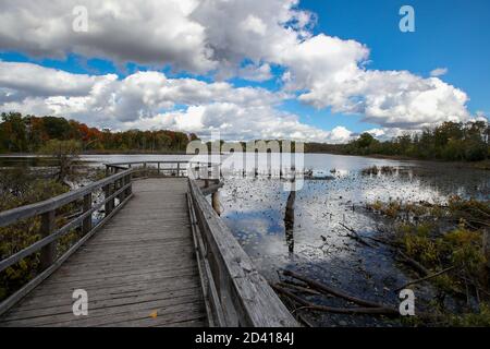 8 ottobre 2020, Londra Ontario Canada, Walker Pond of the Westminster Ponds in London Ontario Canada. Autunno 2020 Luke Durda/Alamy Foto Stock