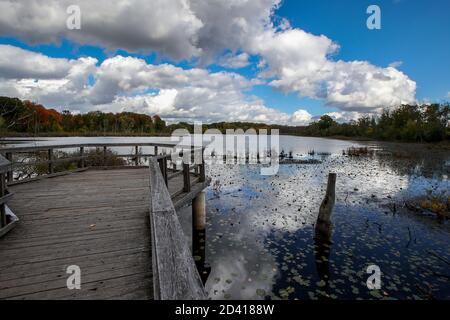 8 ottobre 2020, Londra Ontario Canada, Walker Pond of the Westminster Ponds in London Ontario Canada. Autunno 2020 Luke Durda/Alamy Foto Stock