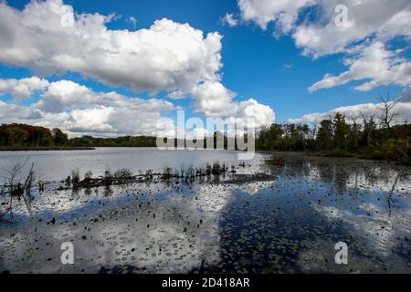 8 ottobre 2020, Londra Ontario Canada, Walker Pond of the Westminster Ponds in London Ontario Canada. Autunno 2020 Luke Durda/Alamy Foto Stock