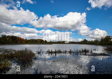 8 ottobre 2020, Londra Ontario Canada, Walker Pond of the Westminster Ponds in London Ontario Canada. Autunno 2020 Luke Durda/Alamy Foto Stock