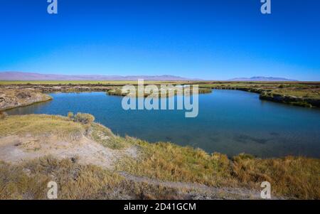 HORSESHOE SPRINGS, UTAH, STATI UNITI - Giugno 22, 2018: Horseshoe Springs, nella Skull Valley dello Utah, è un'area di due sorgenti di acqua dolce che scorrono Foto Stock