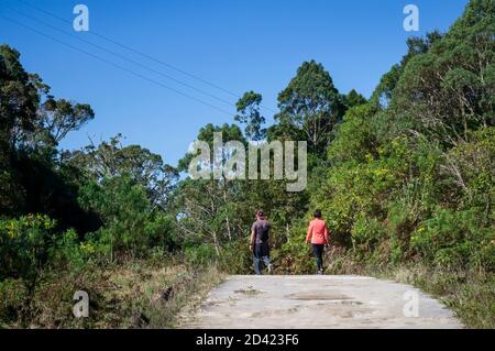 Vista della fitta vegetazione verde del parco nazionale Serra da Bocaina, mentre un paio di passeggiate sul sentiero escursionistico della strada di accesso Pedra da Macela. Foto Stock