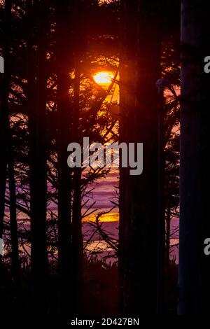 Oregon, Costa vicino a Seal Rock, tramonto Foto Stock