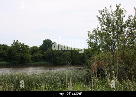 Vista sulla tranquilla costa del fiume Christiana a Wilmington, Delaware Foto Stock