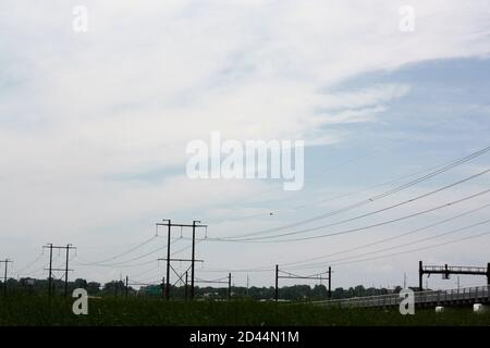 Paesaggio di pali telefonici al Russell W. Peterson Urban Wildlife Refuge a Wilmington, Delaware Foto Stock