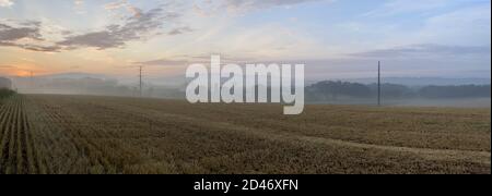 Panoramic shot of a yellow grain field at sunset Foto Stock