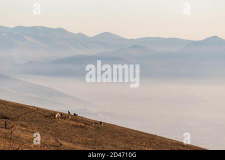 Alcuni cavalli sagome sulla sommità del Monte Subasio, sopra un mare di nebbia il riempimento della valle Umbra Foto Stock