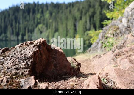 Paesaggio del Lago Rosso, Carpazi Montani, Romania, Bicaz Area Foto Stock