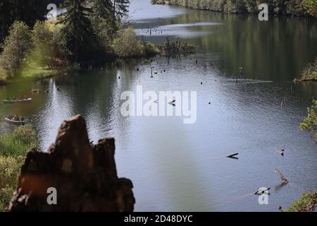 Paesaggio del Lago Rosso, Carpazi Montani, Romania, Bicaz Area Foto Stock