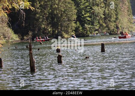 Paesaggio del Lago Rosso, Carpazi Montani, Romania, Bicaz Area Foto Stock
