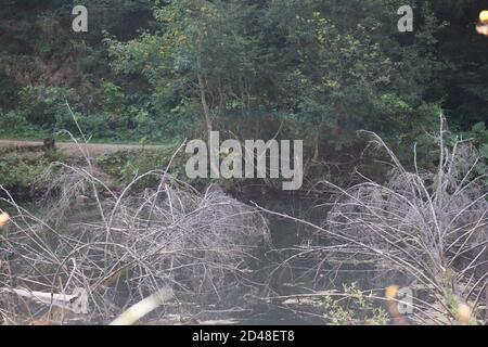Paesaggio del Lago Rosso, Carpazi Montani, Romania, Bicaz Area Foto Stock