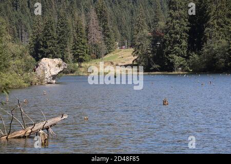 Paesaggio del Lago Rosso, Carpazi Montani, Romania, Bicaz Area Foto Stock