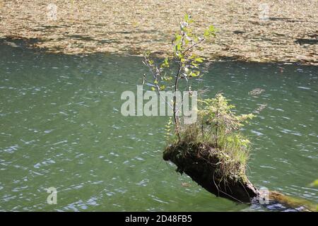 Paesaggio del Lago Rosso, Carpazi Montani, Romania, Bicaz Area Foto Stock