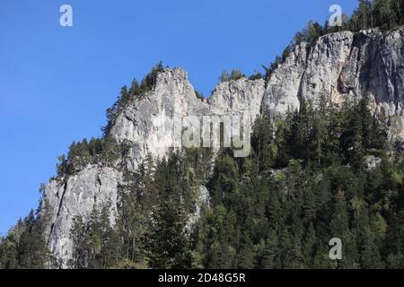 Roccia Carpazi Montain in Romania , Bicaz Chei, Foresta di Pino Foto Stock