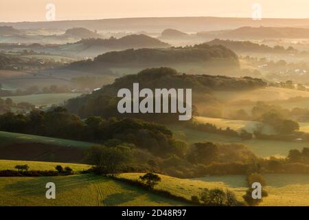 Bridport, Dorset, Regno Unito. 9 ottobre 2020. Regno Unito Meteo. Una leggera nebbia sui campi e sulle colline vicino a Bridport in Dorset poco dopo l'alba. Picture Credit: Graham Hunt/Alamy Live News Foto Stock