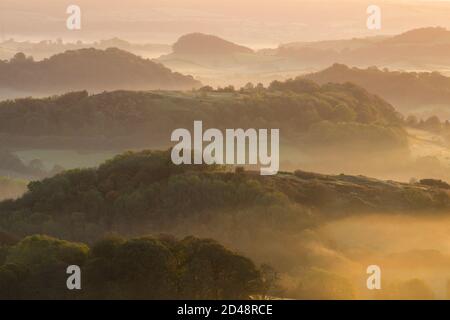 Bridport, Dorset, Regno Unito. 9 ottobre 2020. Regno Unito Meteo. Una leggera nebbia sui campi e sulle colline vicino a Bridport in Dorset poco dopo l'alba. Picture Credit: Graham Hunt/Alamy Live News Foto Stock