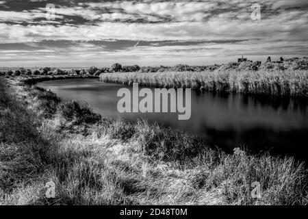 Bianco e nero del fiume Arun, Sussex occidentale, Regno Unito Foto Stock