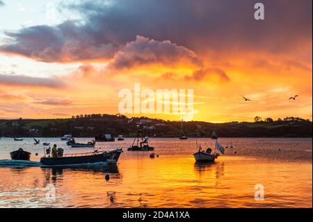 Schull, West Cork, Irlanda. 9 Ott 2020. Un pescatore pilota la sua barca per un viaggio a tirare le sue pentole di granchio nel porto di Schull, mentre il sole sorge sopra l'acqua. Credit: AG News/Alamy Live News Foto Stock