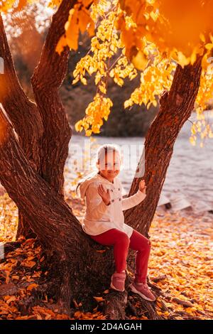 ragazza felice in un cappotto bianco si siede sul tronco di un albero di autunno e morde il suo labbro inferiore, foglie di autunno caduto al tramonto Foto Stock