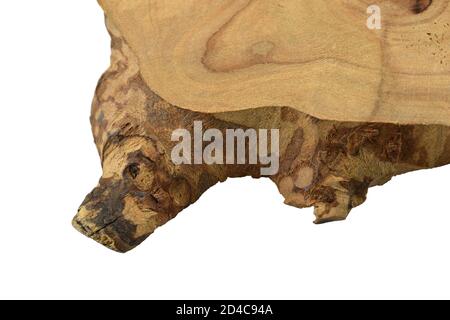 Pezzo di legno isolato su sfondo bianco, foto ravvicinata, texture dettagliata con anelli e crepe. Pezzo di legno di ginepro essiccato Foto Stock