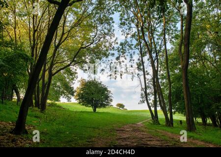 Il sentiero del Cotswold Way vicino alla torre di broadway in una mattina di inizio settembre. Broadway, Cotswolds, Worcestershire, Inghilterra Foto Stock