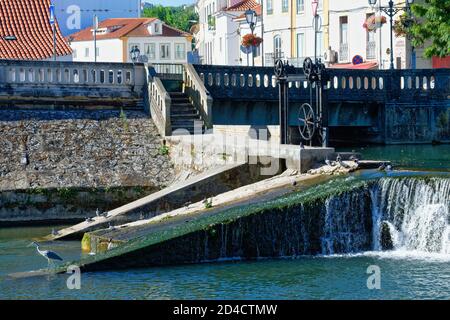 Fiume Nabao che attraversa il parco di Mouchao, Tomar, distretto di Santarem, Portogallo Foto Stock