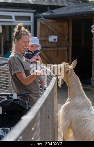 Madre e bambino che nutrano una capra alla Vauxhall City Farm il 22 settembre 2020 a Vauxhall nel Regno Unito. Foto di Sam Mellish Foto Stock