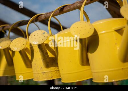 Lattine d'irrigazione gialle appese alla Vauxhall City Farm il 22 settembre 2020 a Vauxhall nel Regno Unito. Foto di Sam Mellish Foto Stock