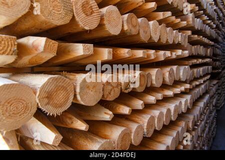 Pile di pannelli di legno nella segheria, fasciame. Magazzino per segare pannelli su una segheria all'esterno. Legname pila di sbozzati in legno costruzione ma Foto Stock