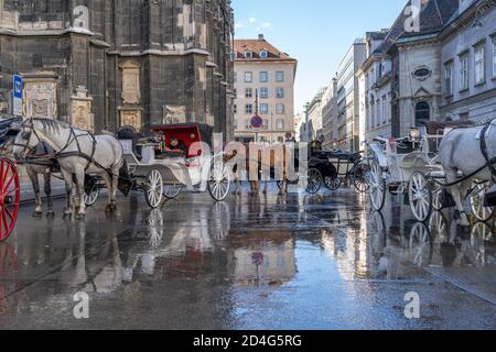 Fiaker warten auf Kundschaft, Wien, Österreich, Europa | Fiacre in attesa di clienti, Vienna, Austria, Europa Foto Stock