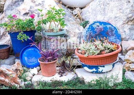 Idee di piantatrice riutilizzate. Secchio blu di seconda mano, piatto, bacino retrò e vecchi cesti di paglia si trasformano in vasi di fiori da giardino. Foto Stock