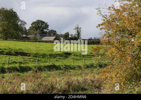 The Broadwater, Aghalee, County Antrim, Irlanda del Nord. 09 Ott 2020. Tempo del Regno Unito - un giorno misto di sole e docce pesanti che soffiano attraverso su una fresca brezza moderata occidentale. Autunno fogliame e campagna lungo il canale. Credit/ CAZIMB/Alamy Live News. Foto Stock