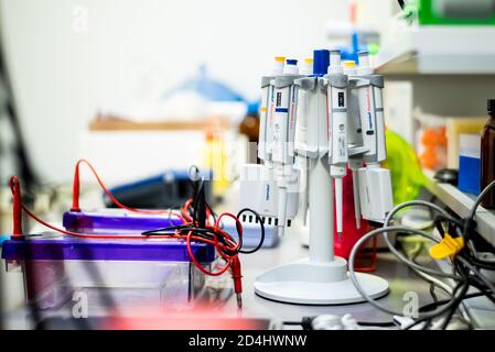 Micropipette in piedi su un tavolo in laboratorio. La pipetta utilizzata nei laboratori scientifici è stata appesa al supporto. Foto Stock