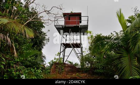 Remota torre radio circondata da fitta foresta pluviale situata sulla cima del Monte Azore, nel sud dell'isola di Praslin, Seychelles. Foto Stock