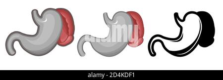 Pancreas umano sano. Intero. Impostazione. Immagine a colori e icona monocromatica. Una serie di illustrazioni sugli organi interni. Oggetto vettore isolato su un WI Foto Stock