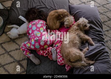 bambina e due piccoli cani che dormono sul pavimento Foto Stock