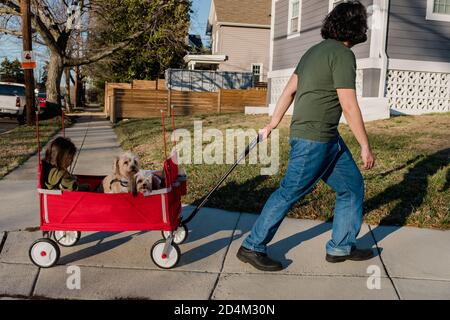 Papà che tira un carro con la figlia e due cani da compagnia guida all'interno Foto Stock