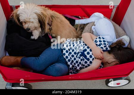 Bambina che si stese in un carro rosso con un piccolo cane Foto Stock