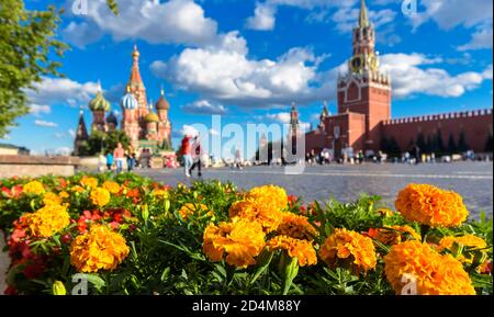 Piazza Rossa in estate, Mosca, Russia. I fiori che si affacciano sulla cattedrale di San Basilio e sul Cremlino di Mosca, si concentrano in primo piano. Questo posto e' famoso per i turisti Foto Stock