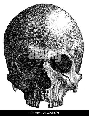 incisione ottocentesca di un cranio preistorico umano. Pubblicato in Systematischer Bilder-Atlas zum Conversations-Lexikon, Ikonographische Encyklopedie Foto Stock