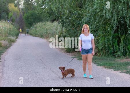 Una giovane bionda in una T-shirt bianca e pantaloncini cammina nel parco con un dachshund marrone. Camminare il cane all'aperto in estate. Foto Stock