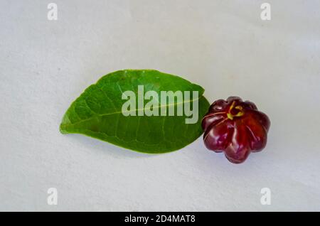 Pitanga foglia di ciliegia e frutta Foto Stock