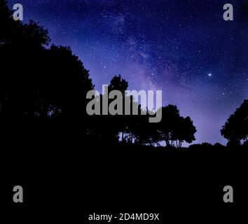 Foto impressionante della foresta di Artà, nel nord di Maiorca, con la Via Lattea che presiede la scena. Foto Stock