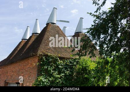 Oast casa edificio progettato per forno (essiccazione) luppolo come parte del processo di produzione. Cielo blu Foto Stock