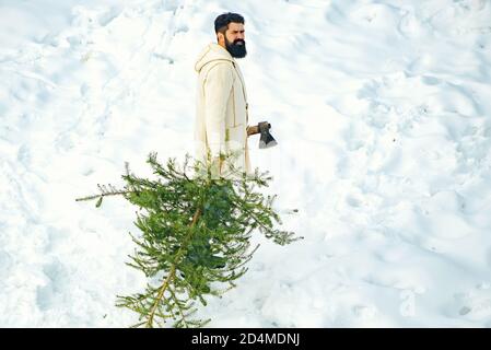Il giovane lumberjack porta l'abete sullo sfondo bianco della neve. Un bel legname con una barba porta un albero di Natale. Buon Natale e felice Foto Stock