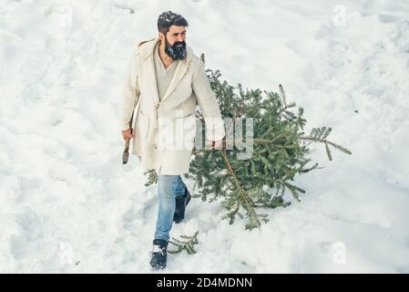 Un bel legname con una barba porta un albero di Natale. Buon inverno. L'uomo con la barba porta a casa un albero di Natale. Giovane tagliabordi inverno Foto Stock